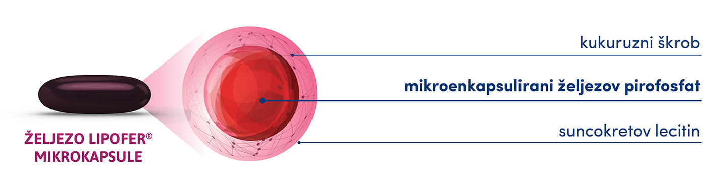 Sastav željeza Lipofer®: mikroenkapsulirani željezni pirofosfat, kukuruzni škrob i suncokretov lecitin.