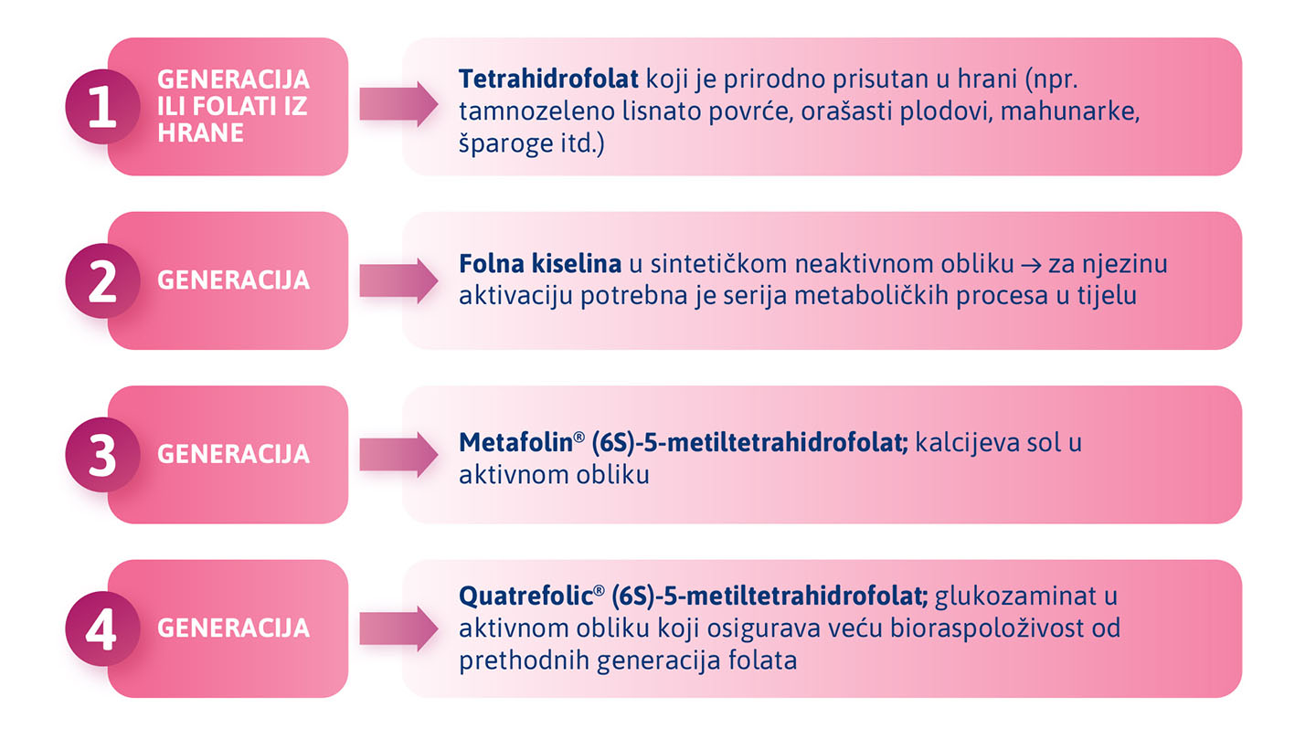 Generacije folata i njihova biološka iskoristivost, prikazana u četiri stupnja.
